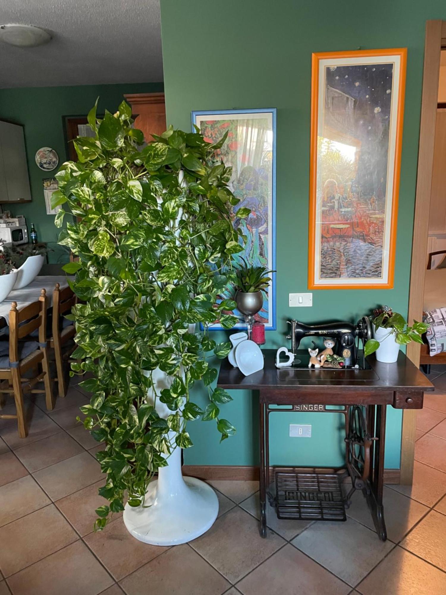 Il Giardino Di Emilia - Intero Appartamento In Villa Con Giardino Privato E Piscina Estiva Pontirolo Nuovo 外观 照片