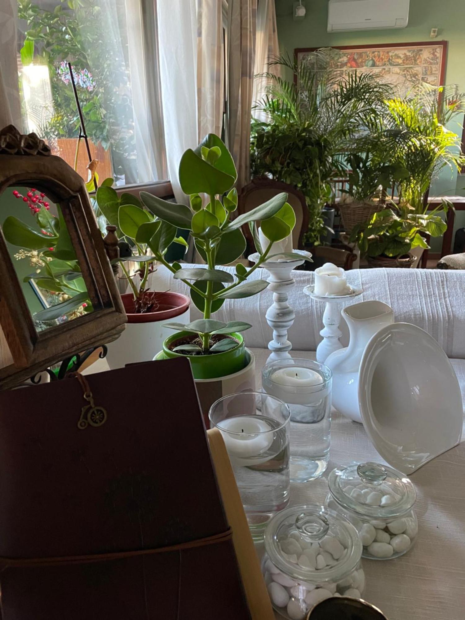 Il Giardino Di Emilia - Intero Appartamento In Villa Con Giardino Privato E Piscina Estiva Pontirolo Nuovo 外观 照片