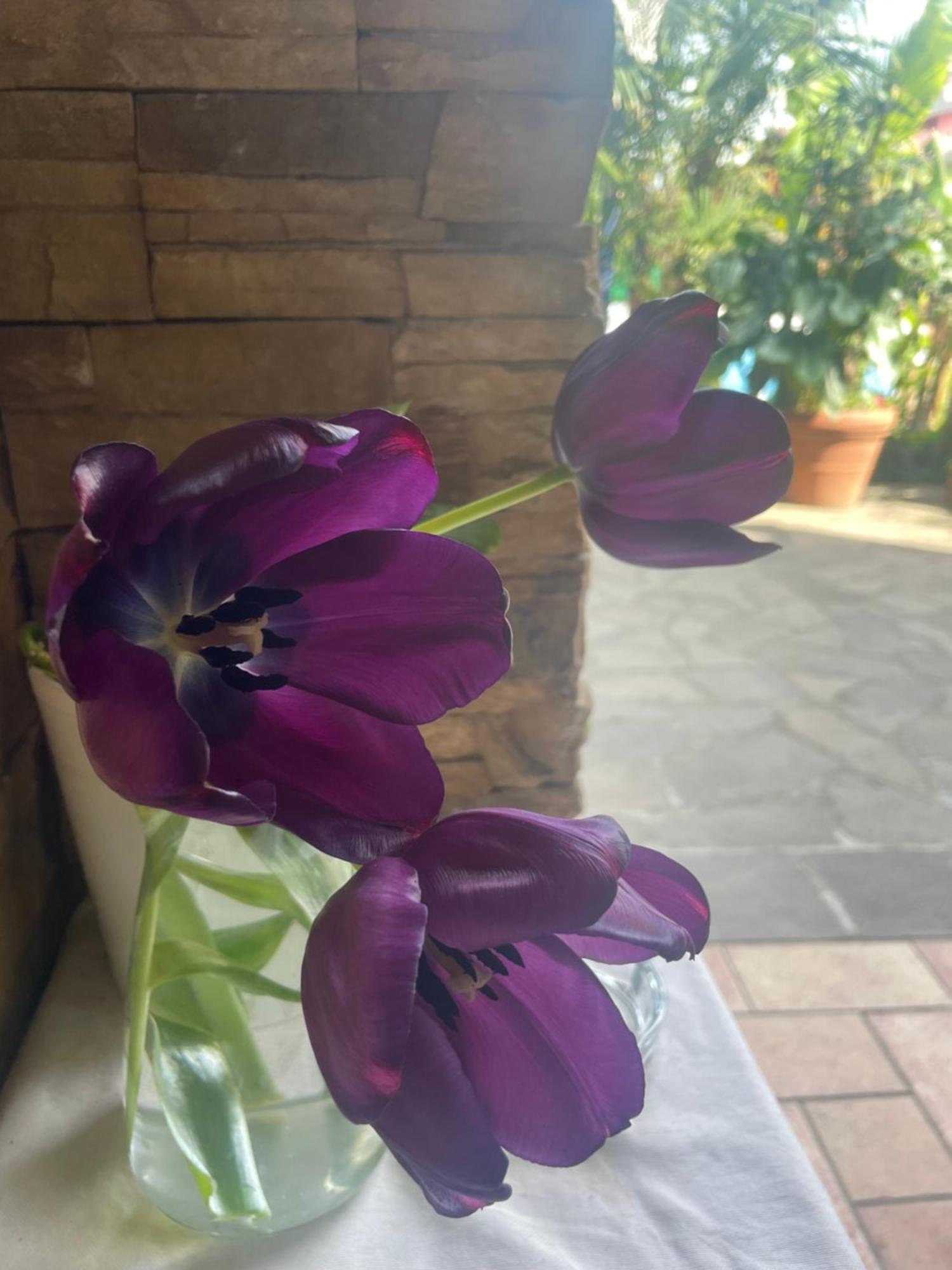 Il Giardino Di Emilia - Intero Appartamento In Villa Con Giardino Privato E Piscina Estiva Pontirolo Nuovo 外观 照片