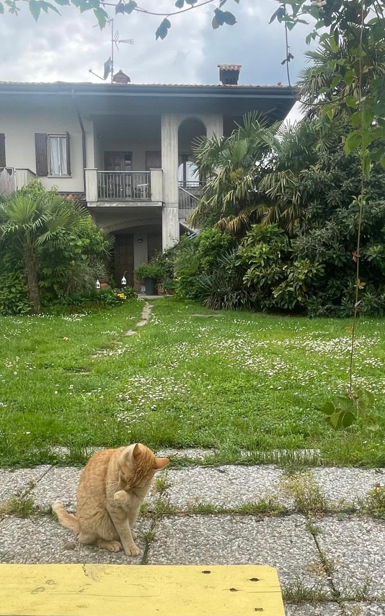 Il Giardino Di Emilia - Intero Appartamento In Villa Con Giardino Privato E Piscina Estiva Pontirolo Nuovo 外观 照片